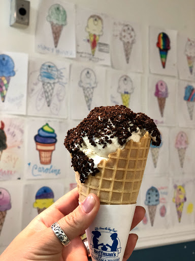 Ice Cream Shop «Hoffmans Ice Cream & Yogurt», reviews and photos, 78 Oceanport Ave, Little Silver, NJ 07739, USA