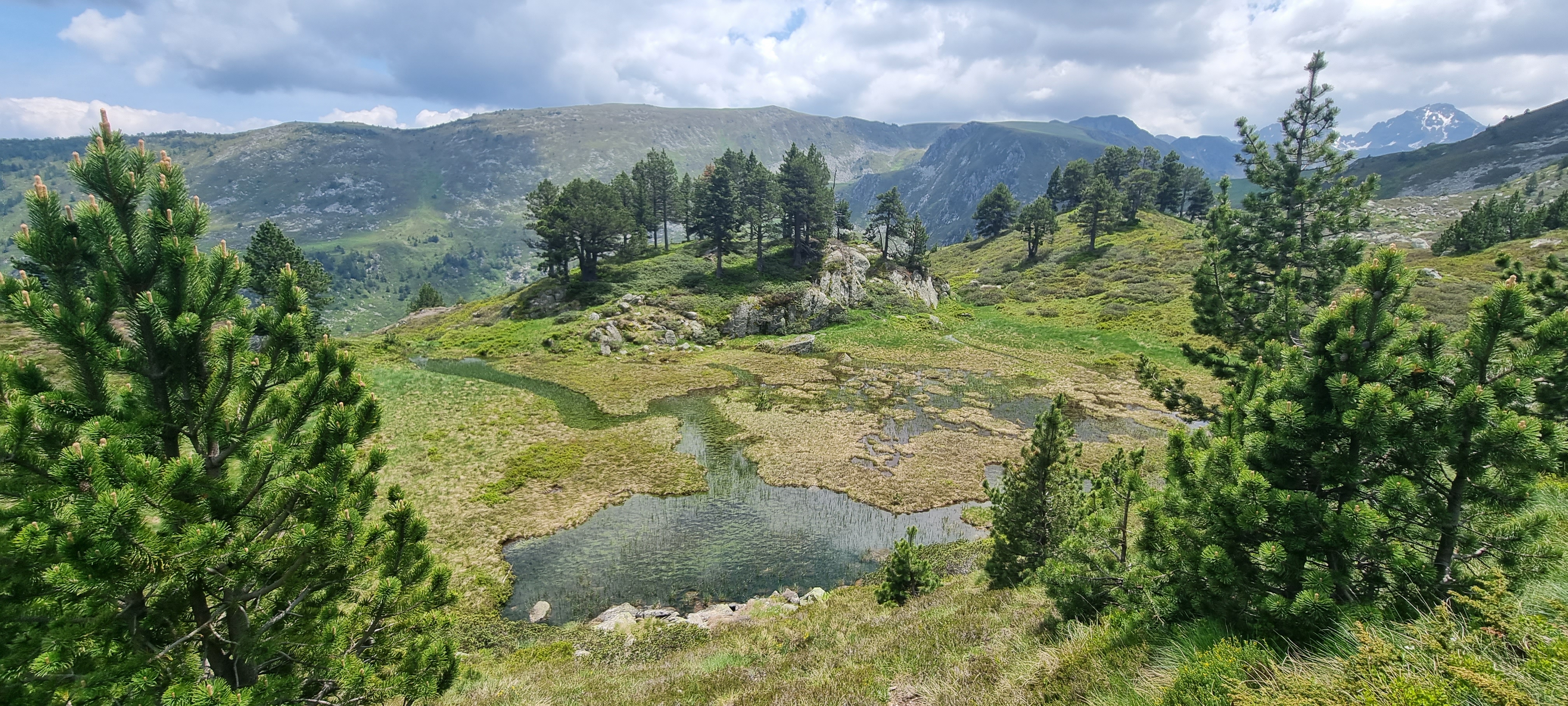 Photo n° 6 de l'avis de Franco.e fait le 24/06/2023 à 15:29