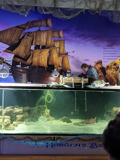 Aquarium «Team ECCO Ocean Center & Aquarium», reviews and photos, 511 N Main St, Hendersonville, NC 28792, USA