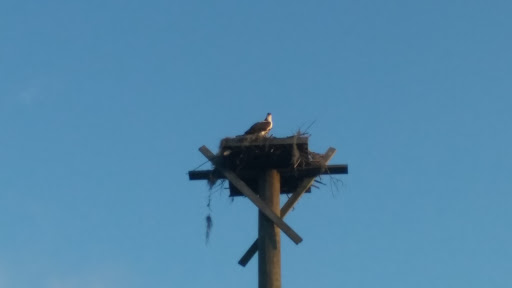 Shopping Mall «Caladesi Shopping Center», reviews and photos, 916 Curlew Rd, Dunedin, FL 34698, USA