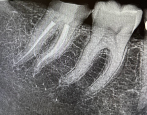 Central Coast Dental Care image