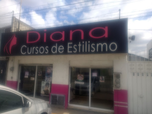 Diana cursos de estilismo