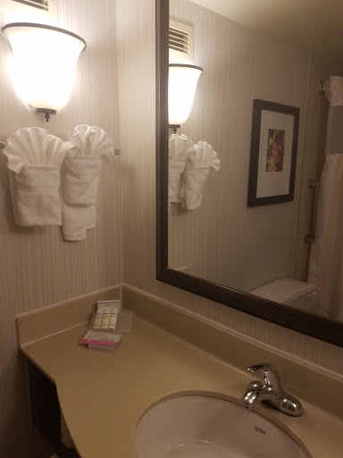 Hotel «Hilton Garden Inn Atlanta North/Alpharetta», reviews and photos, 4025 Windward Plaza, Alpharetta, GA 30005, USA