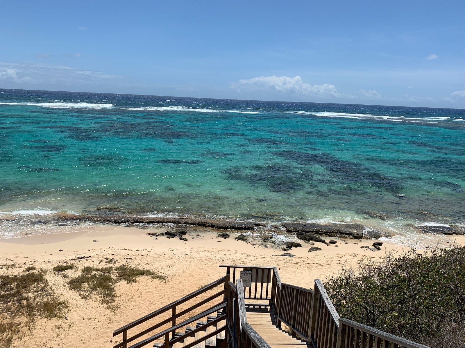 Isaacs Bay beach photo #8