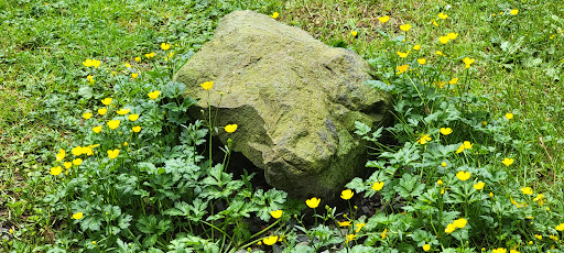 Park «Ferguson Park», reviews and photos, 1330 Ferguson Park Rd, Snohomish, WA 98290, USA