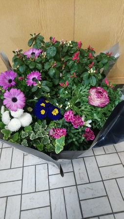 Photo n° 2 de l'avis de yves.a fait le 29/02/2020 à 13:26