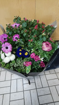Fleur D'escargot à Angers