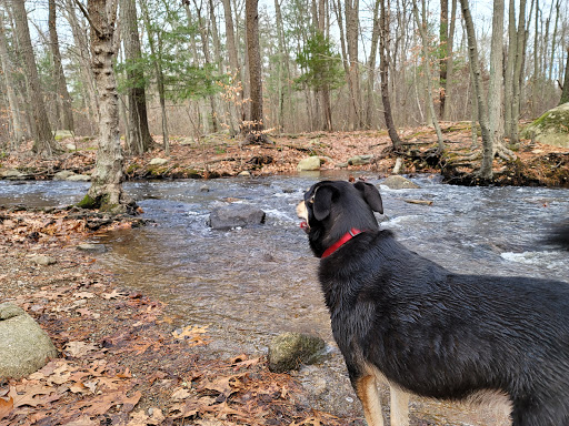 State Park «Ames Nowell State Park», reviews and photos, Linwood Street, Abington, MA 02351, USA