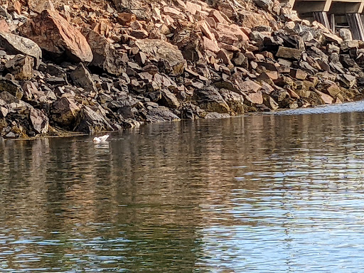 Hotel «Atlantic Oceanside Hotel & Event Center», reviews and photos, 119 Eden St, Bar Harbor, ME 04609, USA