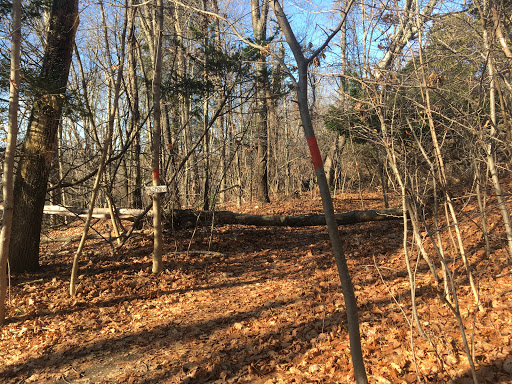 Wenakeening Woods Public Access