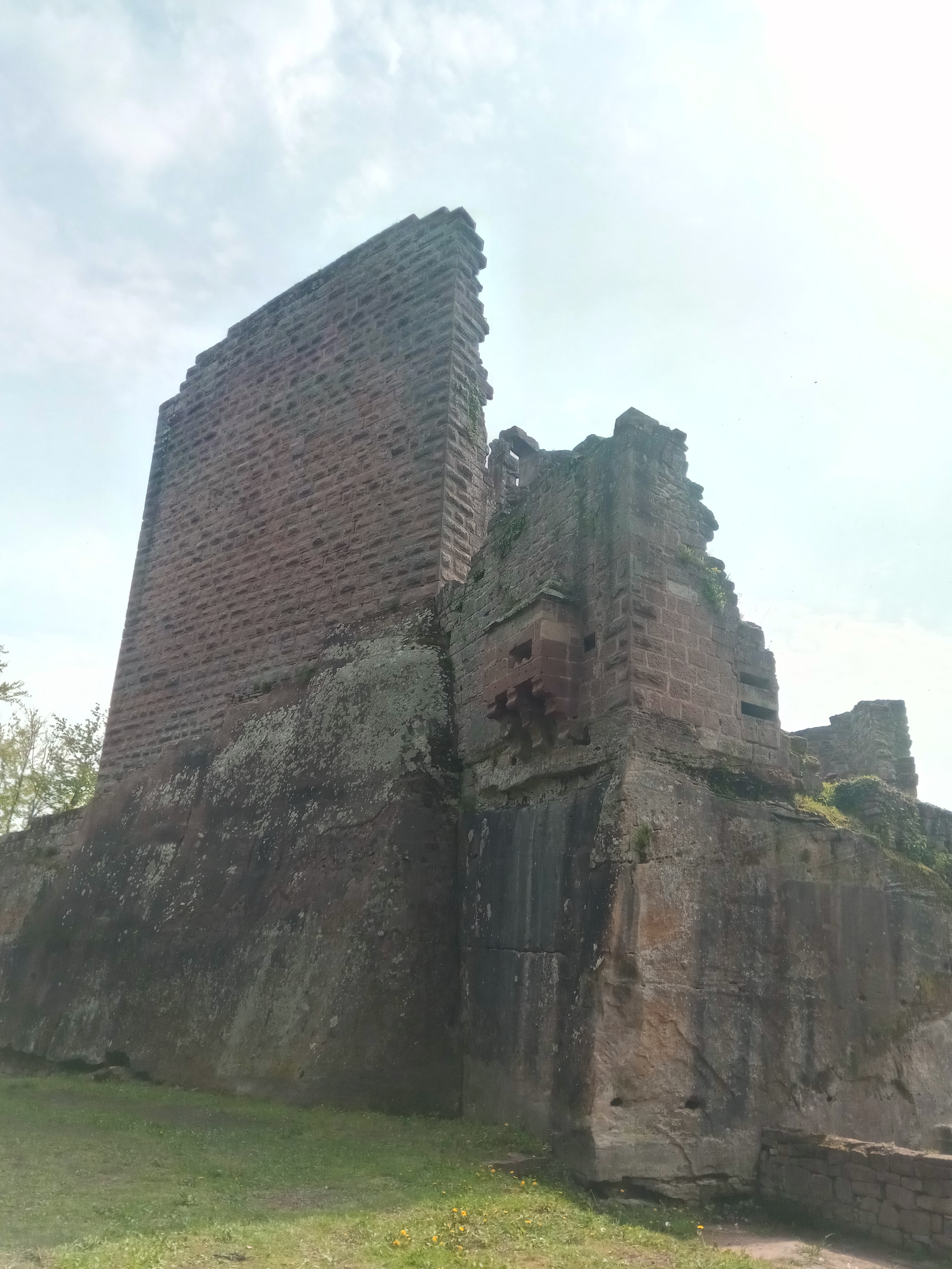 Photo n° 8 de l'avis de Ives.e fait le 03/05/2019 à 12:37