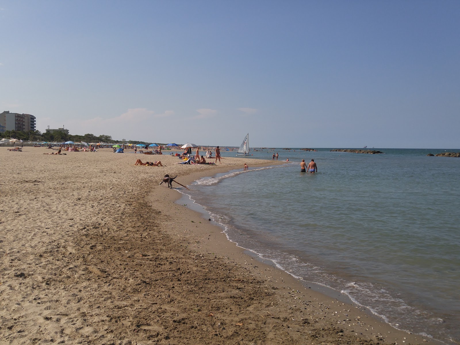 Foto von Lido di Classe mit beiger sand Oberfläche