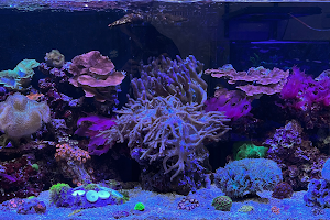 Ultimate Aquariums image