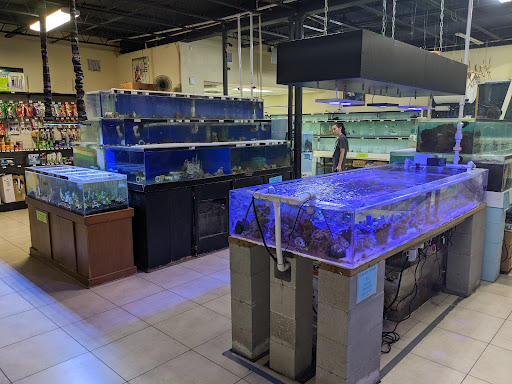 Pet Store «Fins and Skins», reviews and photos, 8451 49th St N, Pinellas Park, FL 33781, USA