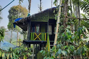 The Mountain Tree Home image