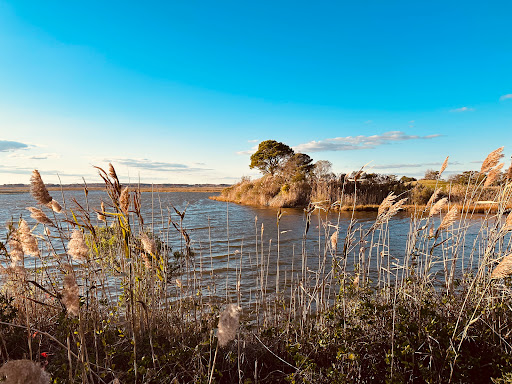 Golf Course «Ocean City Golf Club», reviews and photos