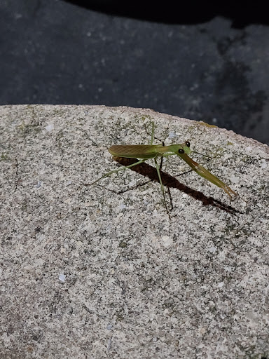 Movie Theater «Regal Cinemas Harrisburg 14», reviews and photos, 1500 Caughey Dr, Harrisburg, PA 17112, USA