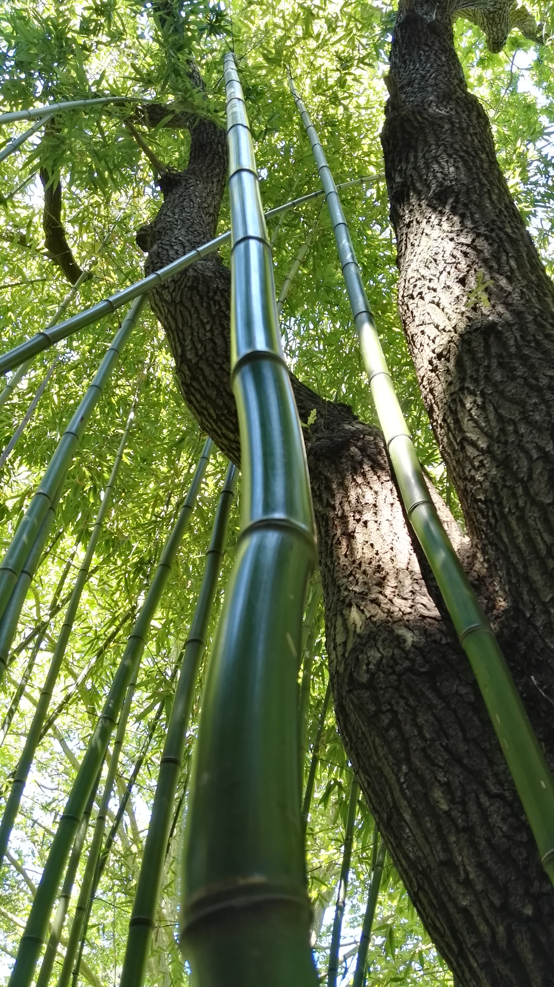 Photo n° 1 de l'avis de Zay.t fait le 14/06/2017 à 14:05