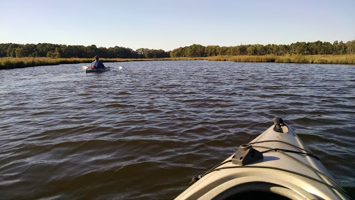 National Park «Assateague Island National Seashore», reviews and photos, 7206 National Seashore Ln, Berlin, MD 21811, USA