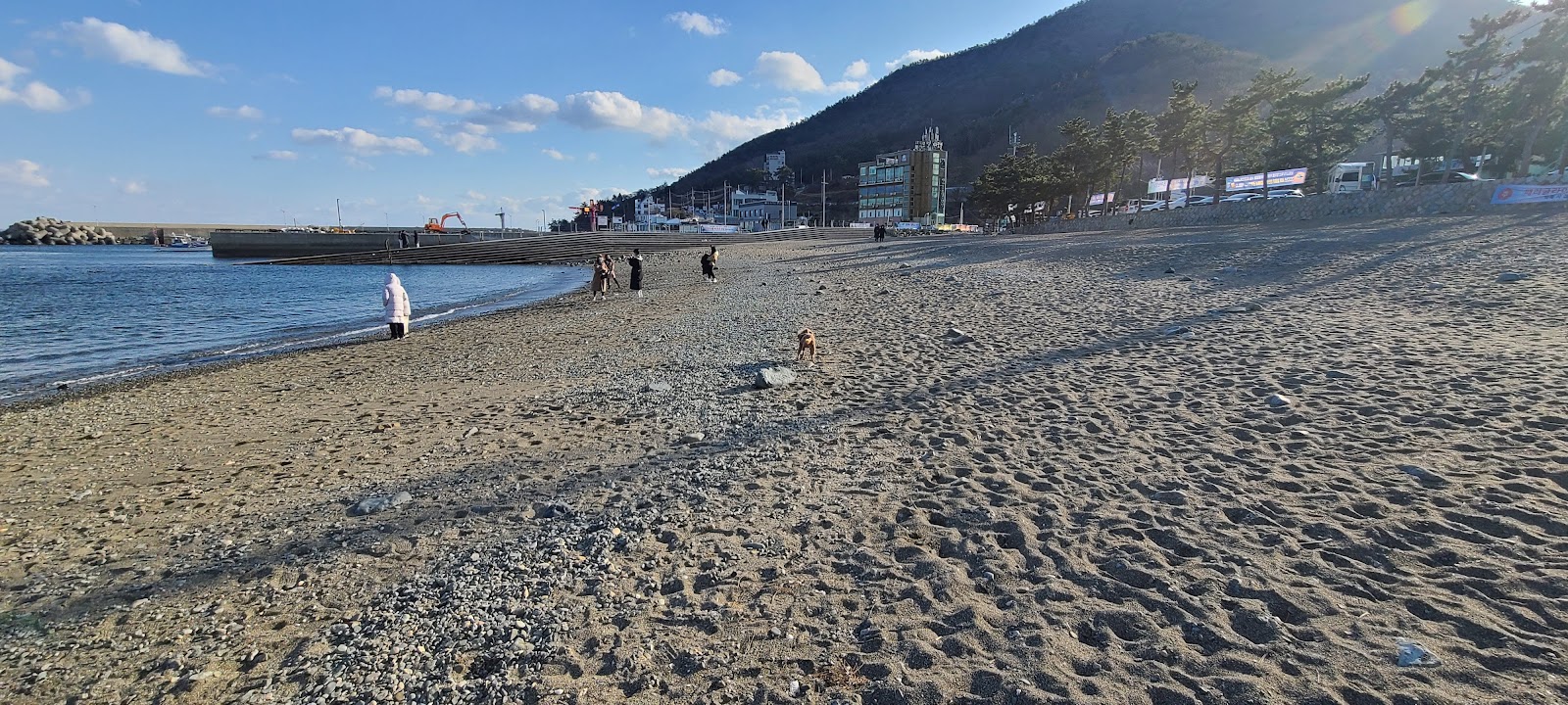 Foto von Chronicle Black Sand Beach annehmlichkeitenbereich