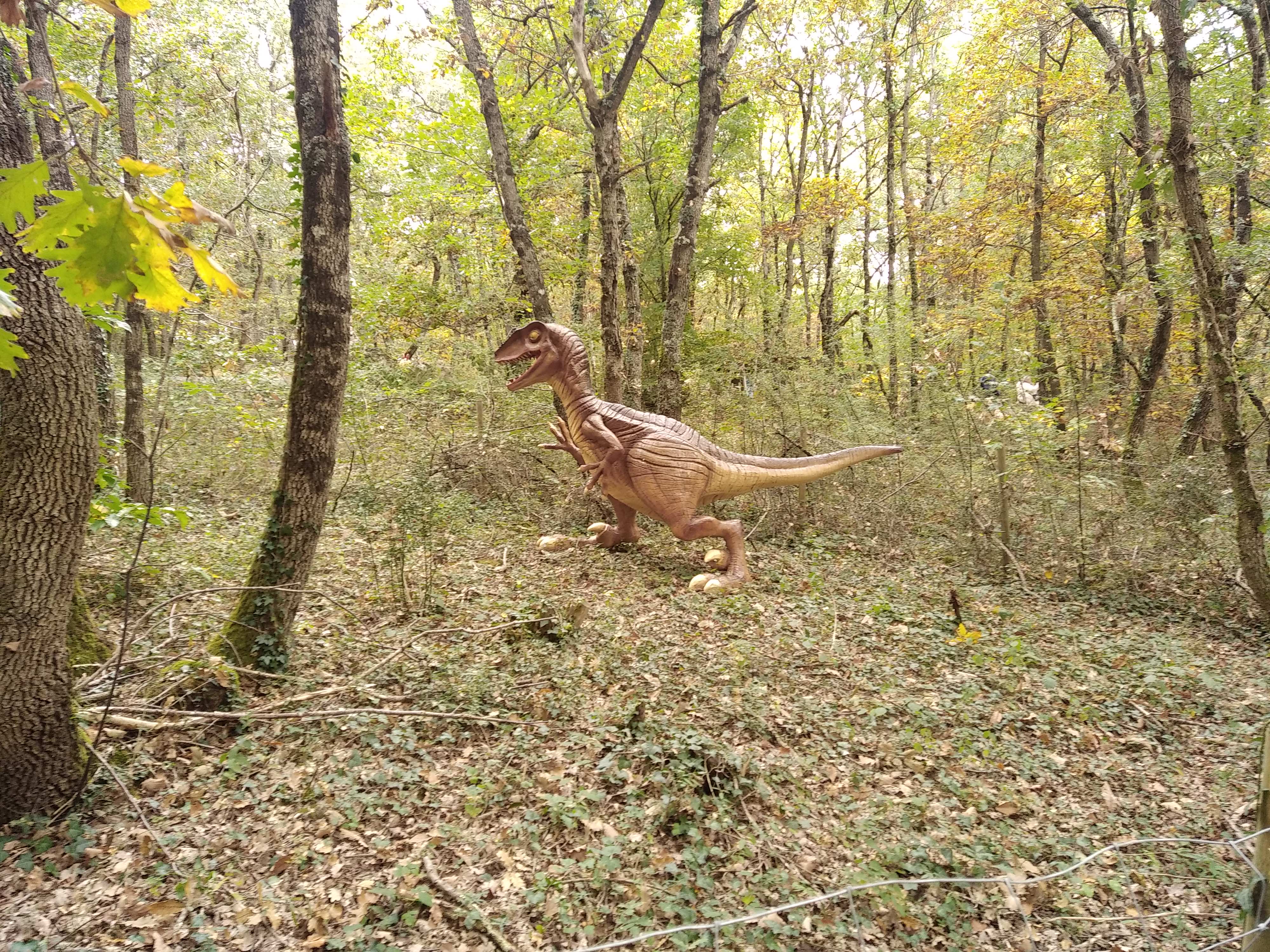 Photo n° 5 de l'avis de Mathieu.r fait le 30/10/2021 à 19:26