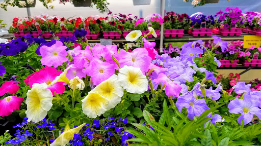 Hardware Store «Ham Lake Hardware Hank», reviews and photos, 17426 MN-65, Ham Lake, MN 55304, USA