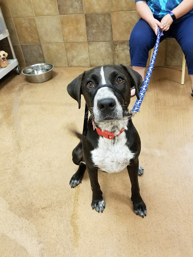 Pet Supply Store «PetSmart», reviews and photos, 5748 S Redwood Rd, Taylorsville, UT 84123, USA