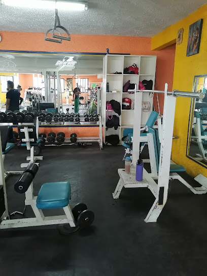 MILENIO GYM