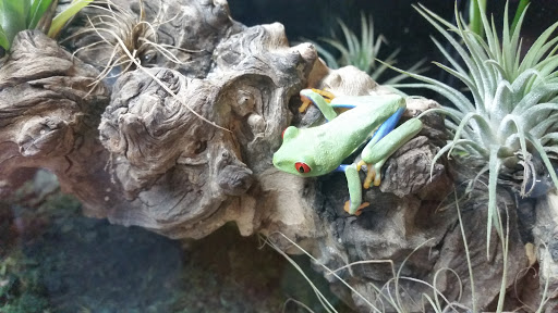 Pet Store «Plattsmouth Pets», reviews and photos, 430 Main St, Plattsmouth, NE 68048, USA