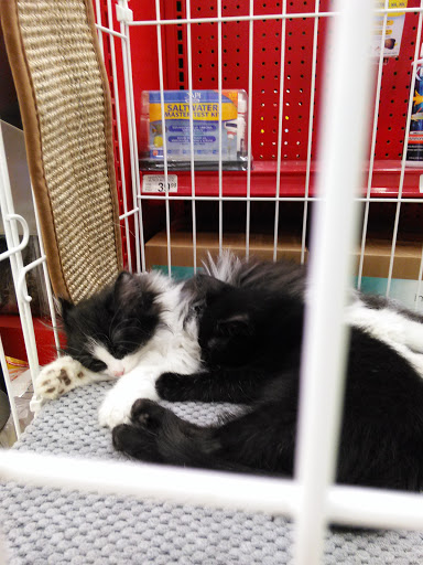 Pet Supply Store «Petco Animal Supplies», reviews and photos, 14051 Aldrich Ave S, Burnsville, MN 55337, USA