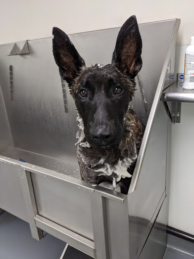 Pet Supply Store «Centinela Feed & Pet Supplies», reviews and photos, 11055 W Pico Blvd, Los Angeles, CA 90064, USA