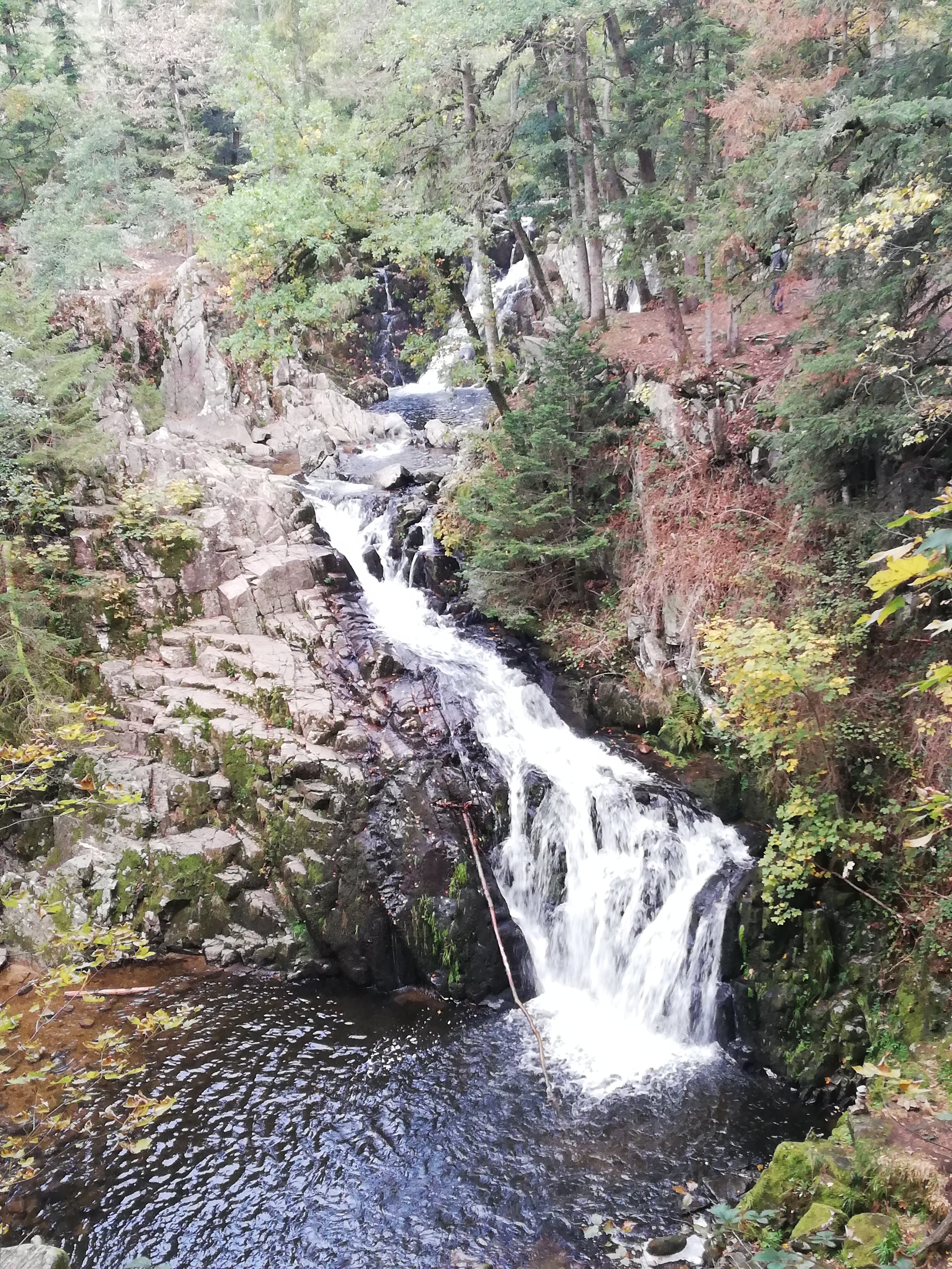 Photo n° 1 de l'avis de GERARD.I fait le 06/10/2022 à 16:01