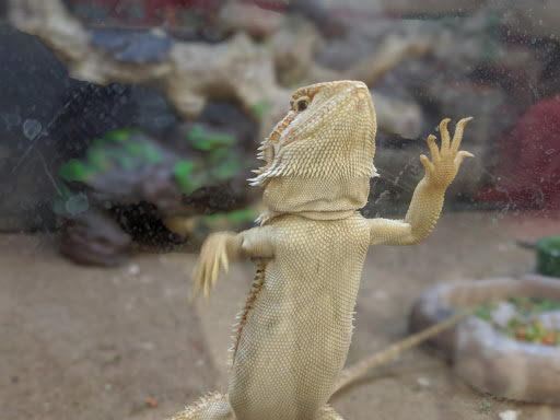 Pet Supply Store «Petco Animal Supplies», reviews and photos, 11639 S Pkwy Plaza Dr, South Jordan, UT 84095, USA