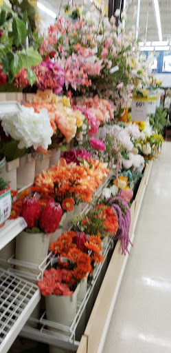 Craft Store «Michaels», reviews and photos, 209 E Fm 544, Murphy, TX 75094, USA