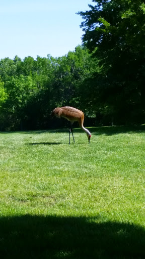 Golf Course «Elbel Golf Course», reviews and photos, 26595 Auten Rd, South Bend, IN 46628, USA