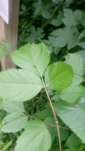 Park «Medina River Natural Area», reviews and photos, 15890 Highway 16 South, San Antonio, TX 78264, USA