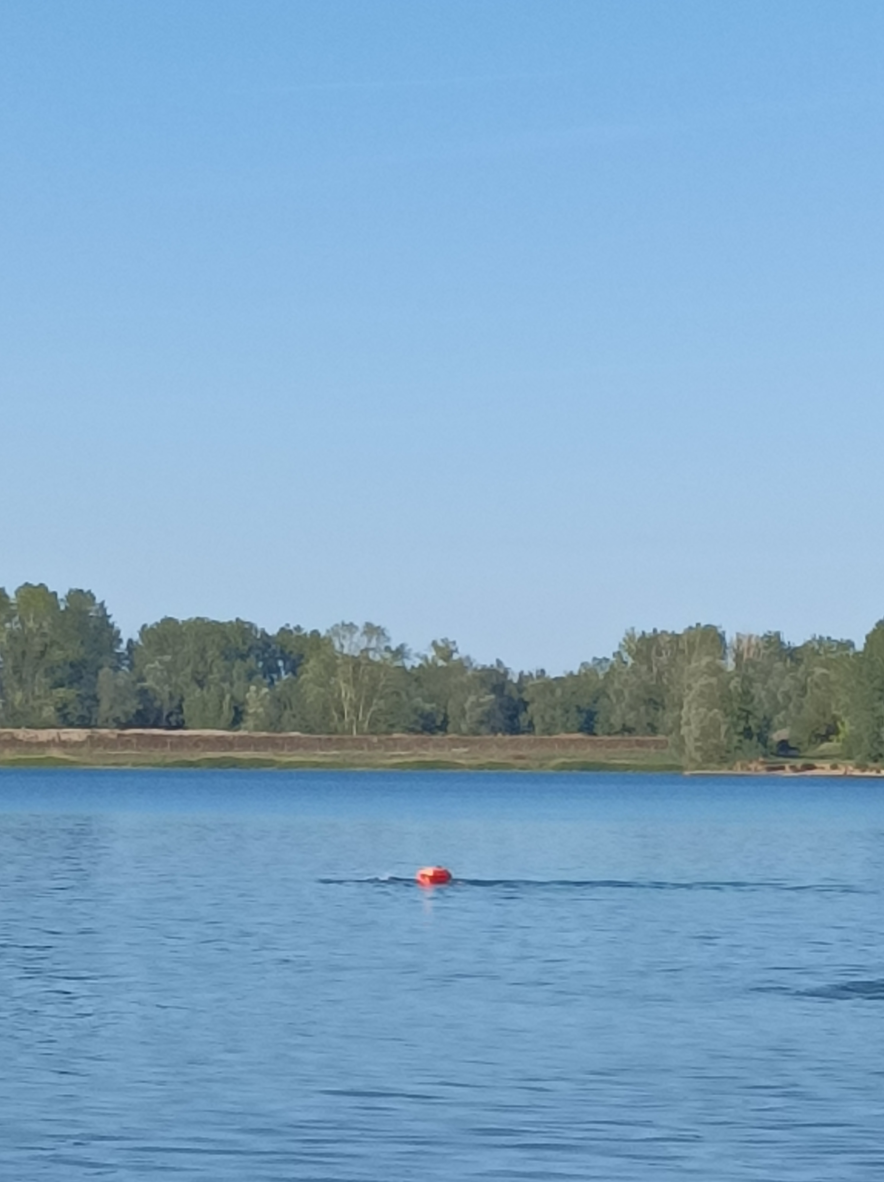 Photo n° 7 de l'avis de Françoise. fait le 18/09/2019 à 12:03