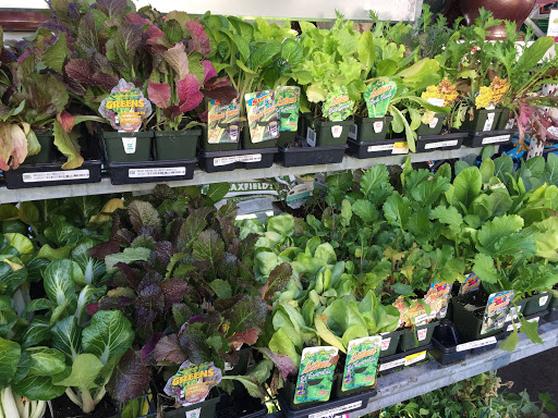 Hardware Store «Ace on The Fax», reviews and photos, 7100 E Colfax Ave, Denver, CO 80220, USA