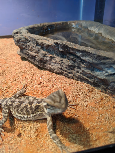 Pet Store «Animal House», reviews and photos, 7869 Hamilton Ave, Cincinnati, OH 45231, USA