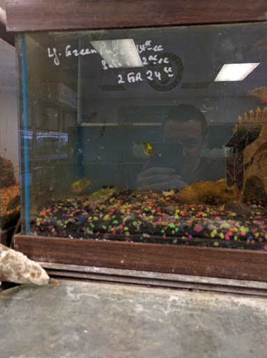 Pet Store «Fish & Pets Ranch», reviews and photos, 10100 Kleckley Dr, Houston, TX 77075, USA