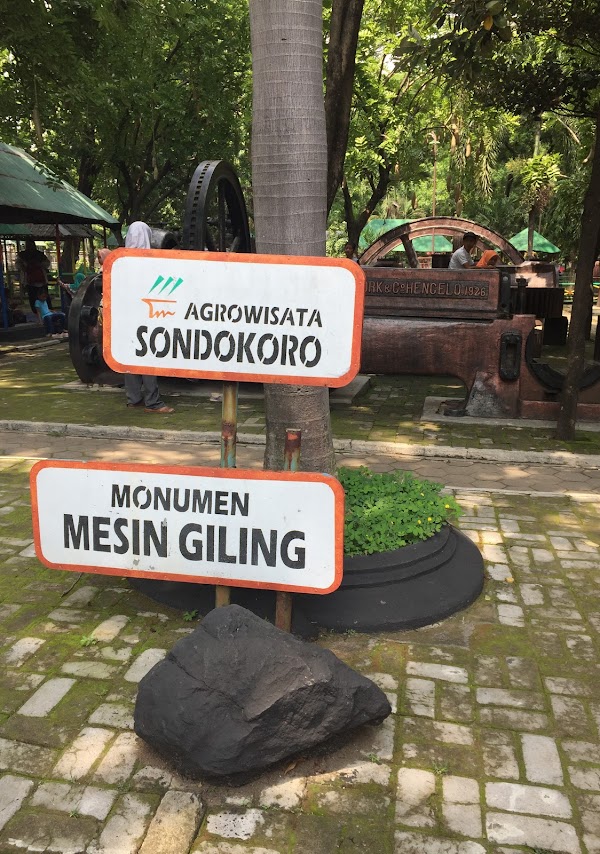 Piknik Murah Di Argowisata Sondokoro Anak Pasti Suka Sanjaya Tour