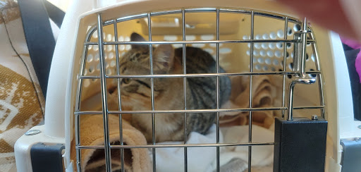 Pet Supply Store «Western Ranch & Pet Supply», reviews and photos, 103 Aegean Way, Vacaville, CA 95687, USA