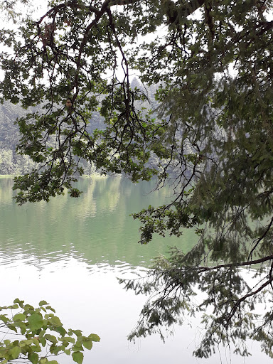 Produce Market «Camas Produce», reviews and photos, 2940 NE Everett St, Camas, WA 98607, USA