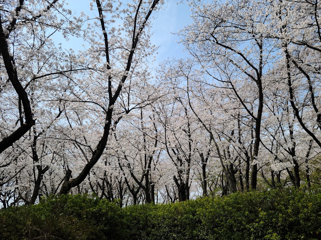 横井山緑地