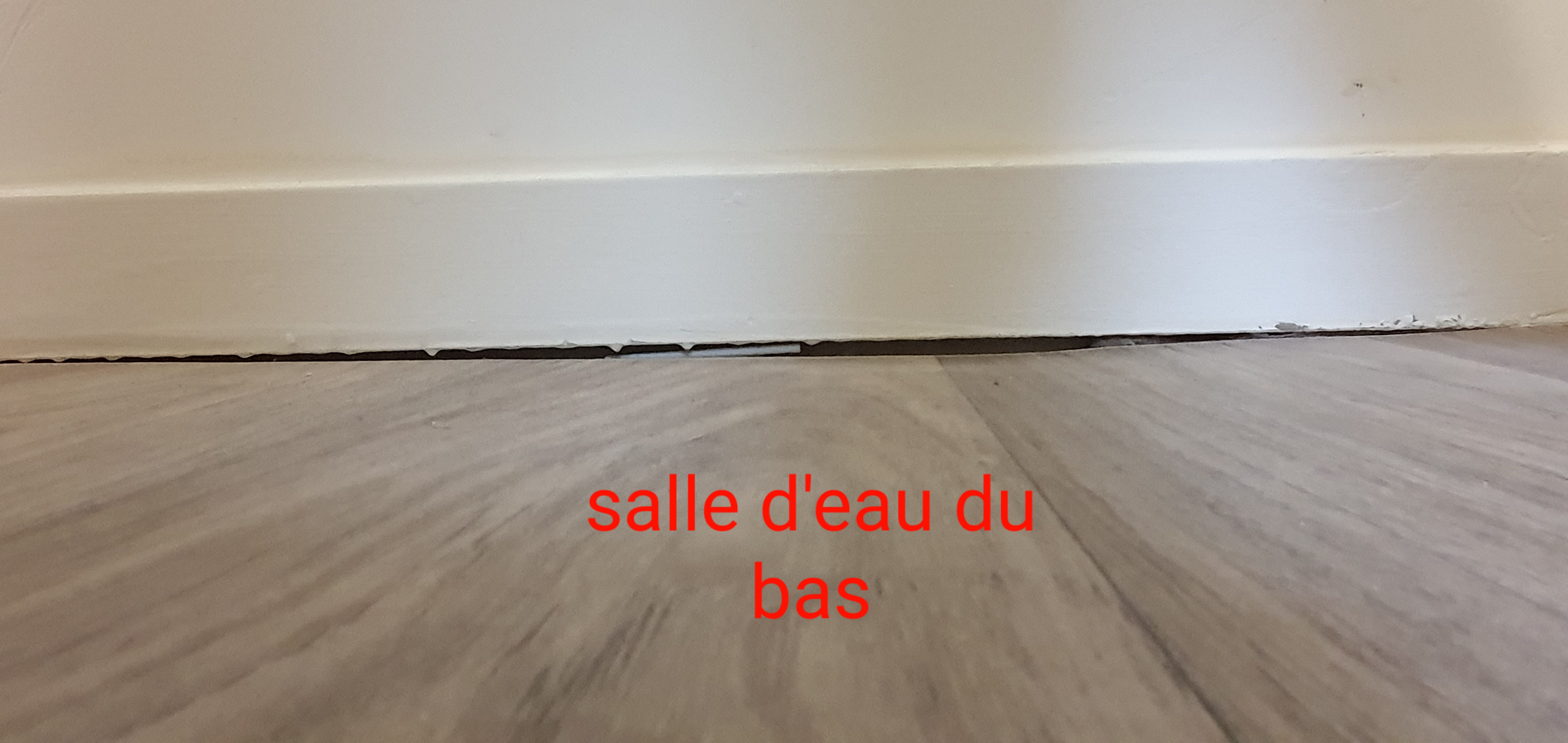 Photo n° 19 de l'avis de co.o fait le 19/03/2021 à 16:42