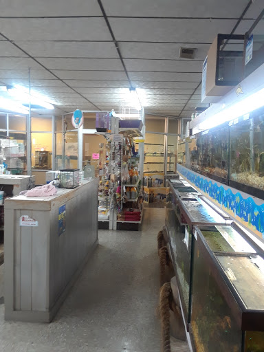 Pet Store «Southside Pet Shop», reviews and photos, 7031 Southside Dr, Louisville, KY 40214, USA