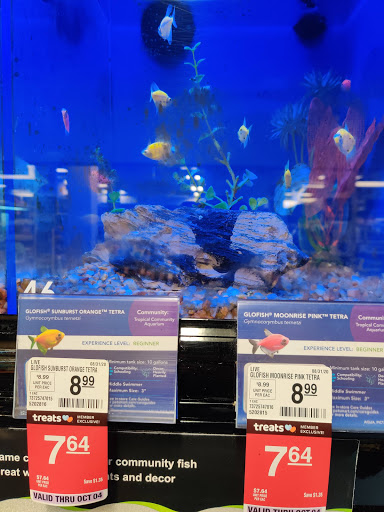 Pet Supply Store «PetSmart», reviews and photos, 215 Needham St, Newton, MA 02464, USA