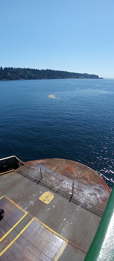 Tourist Attraction «Beneath the Streets», reviews and photos, 102 Cherry St, Seattle, WA 98104, USA