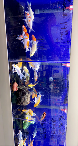 Pet Store «El Granero Pet Shop», reviews and photos, 15700 Atlantic Ave, Compton, CA 90221, USA