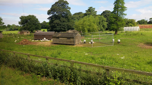 Swillington Organic Farm